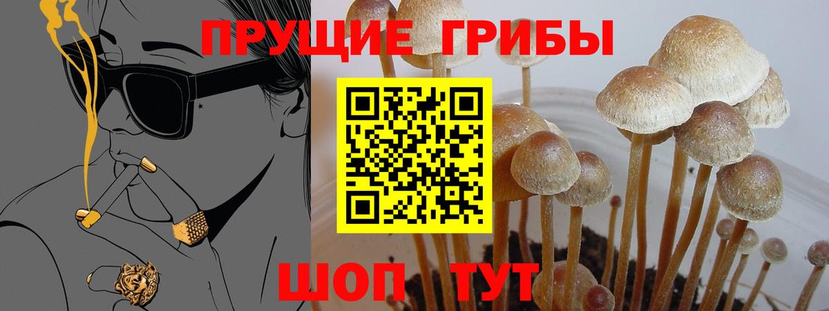 даркнет сайт  Вход с VPN  Асбест  Псилоцибиновые грибы Magic Shrooms 